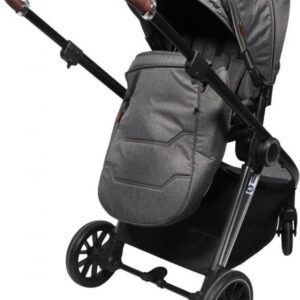 Ding Fenix Kinderwagen Grijs Met Zilver