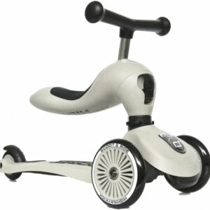 Scoot and Ride 2-in-1 Highwaykick Ash